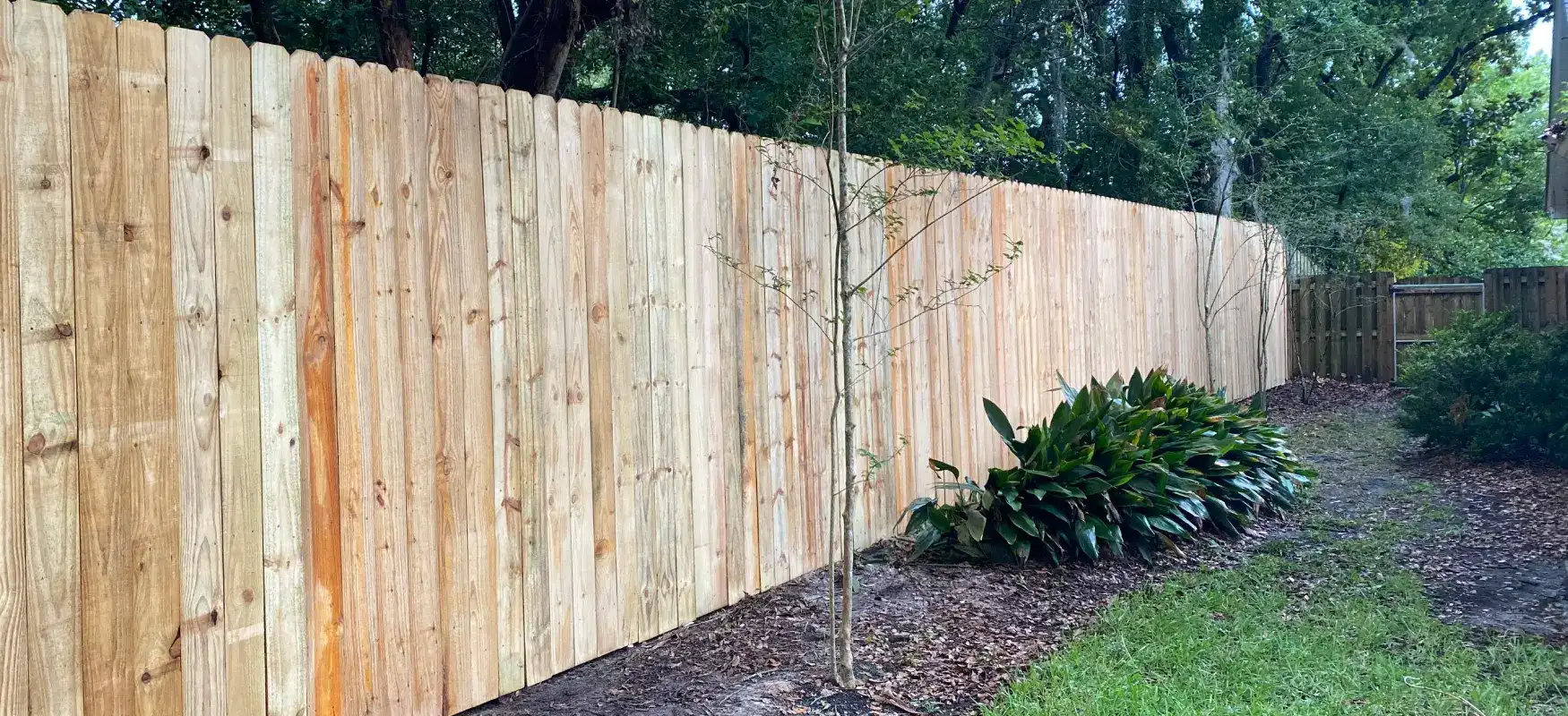 Board On Board Fence In Jacksonville Florida Photo Compressed