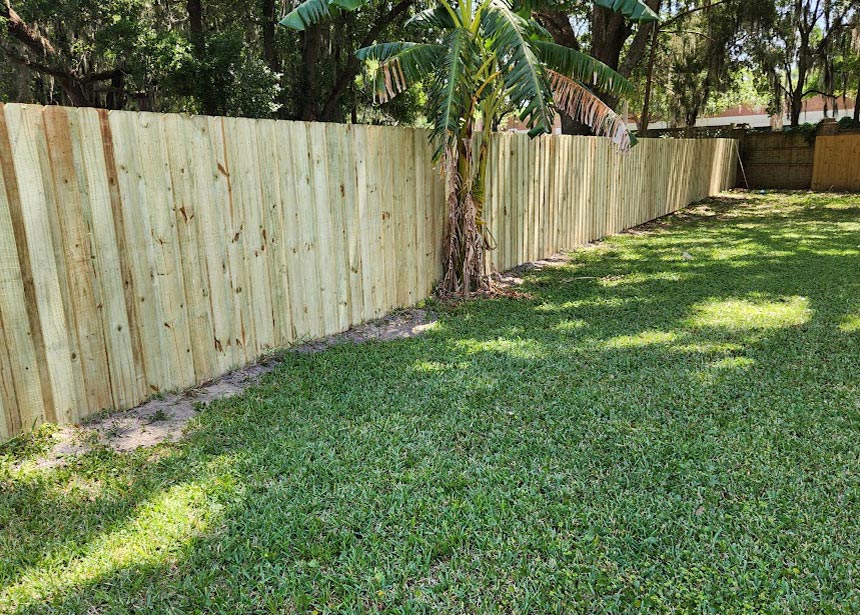 Board On Board Fence