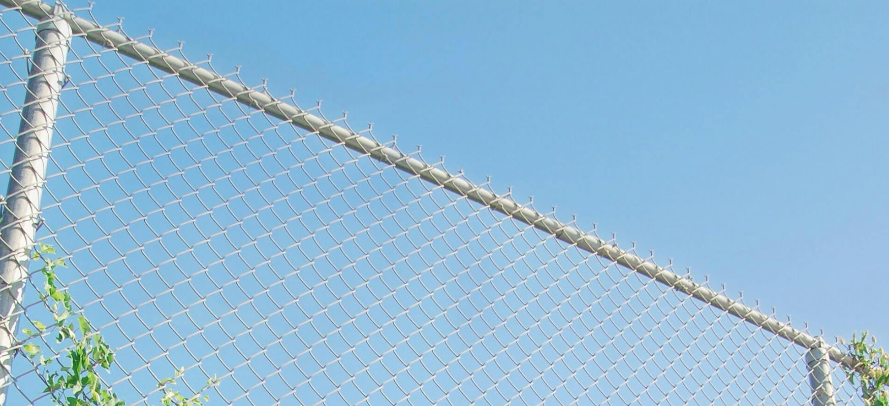 Chain Link Fence Photo