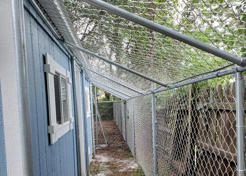 Dog Kennel Attached To Shed