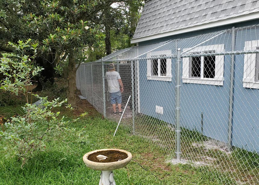 Dog Kennel Being Built Near Shed