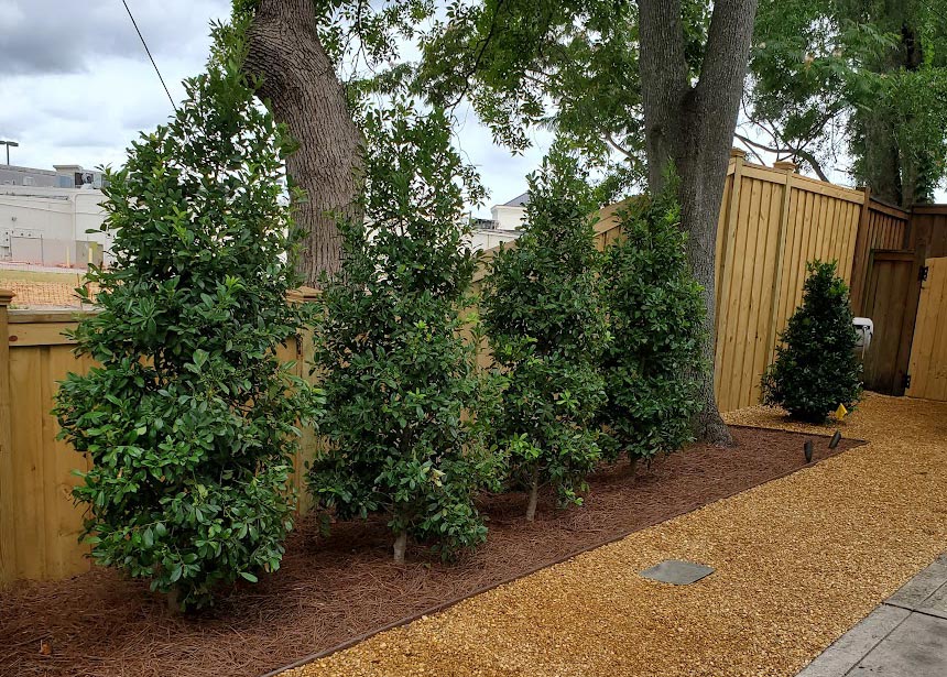 Fence Behind Landscaping Angle View