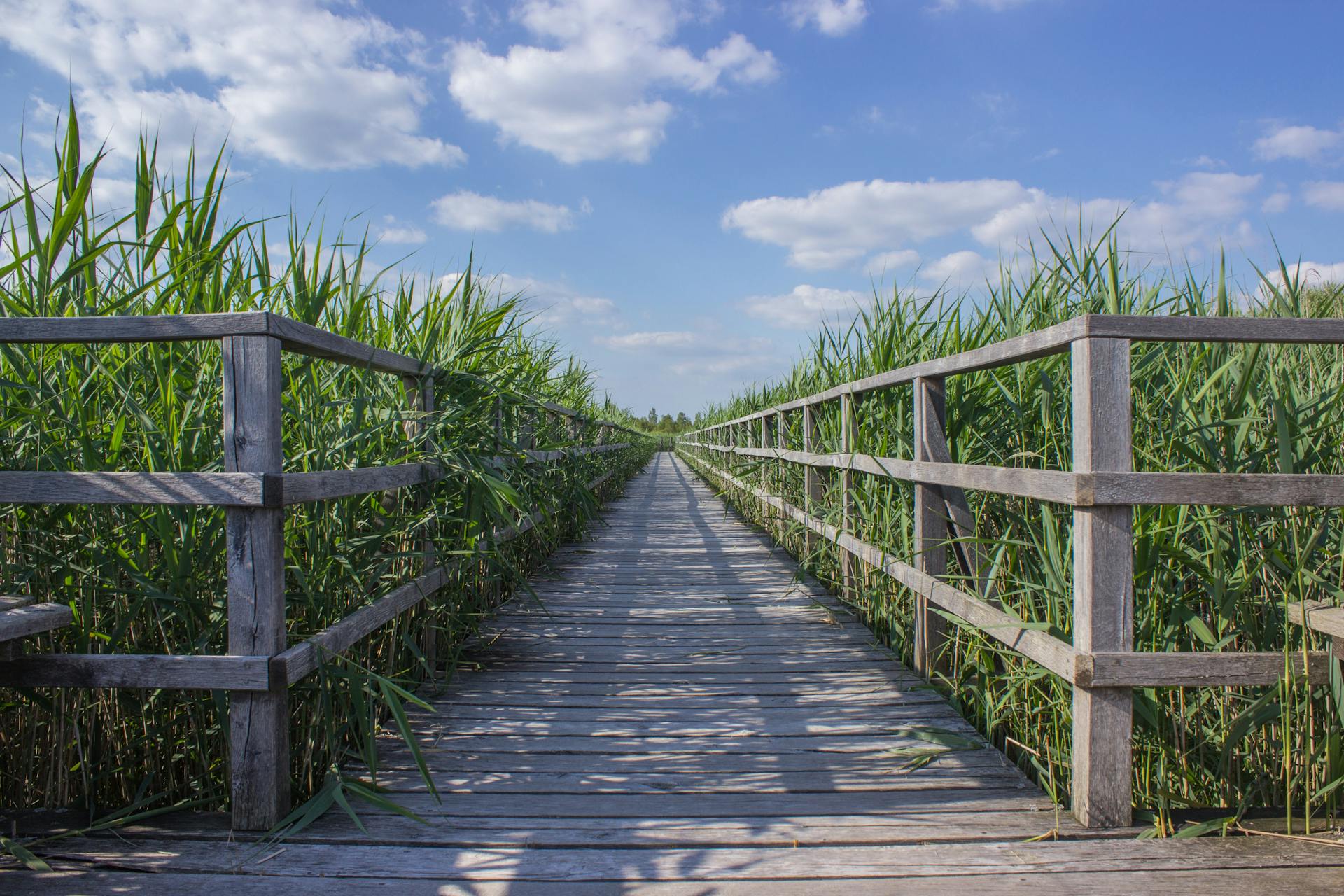 Hires Beach Railing