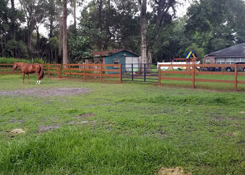 Horse Fence