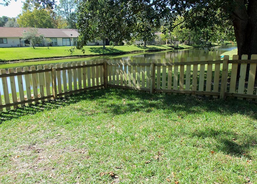 Simple Backyard Fence