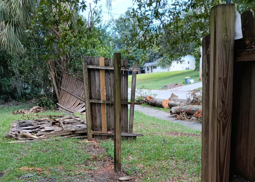 Wood Fence Before